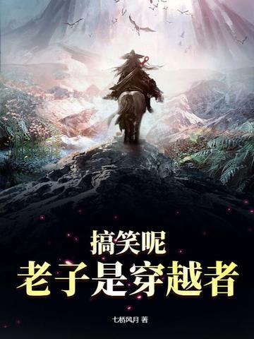 搞笑呢老子是穿越者