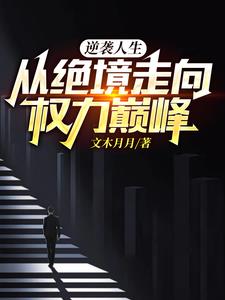 逆袭人生从绝境走向权力巅峰