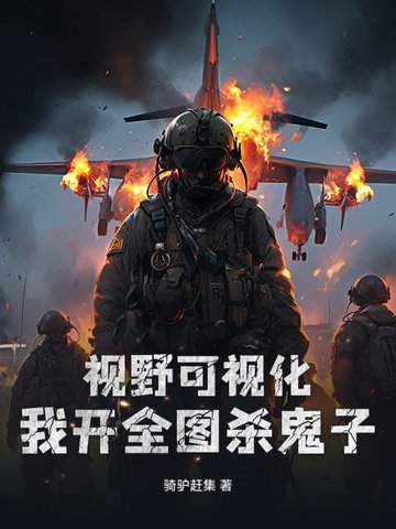 视野可视化我开全图杀鬼子