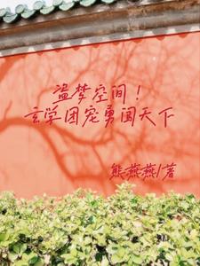 盗梦空间玄学团宠勇闯天下